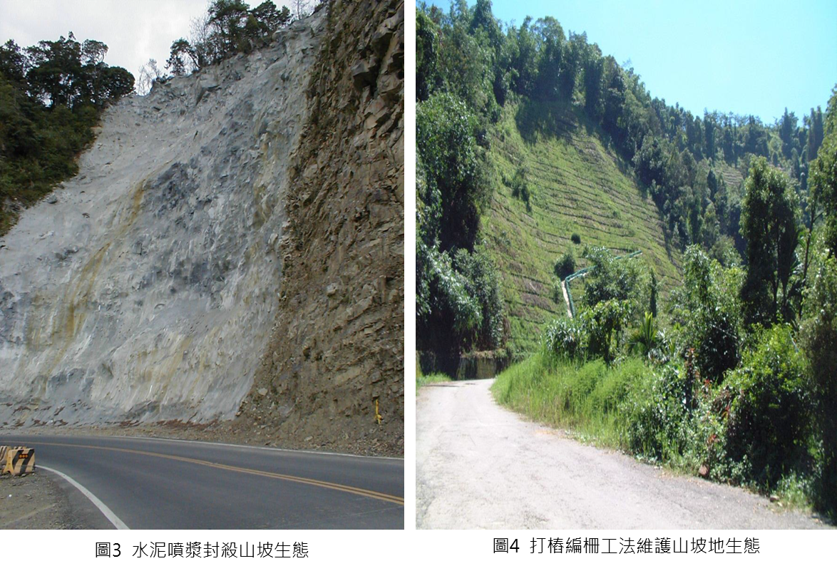 二、公路邊坡